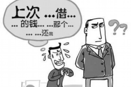 师宗债务清欠服务